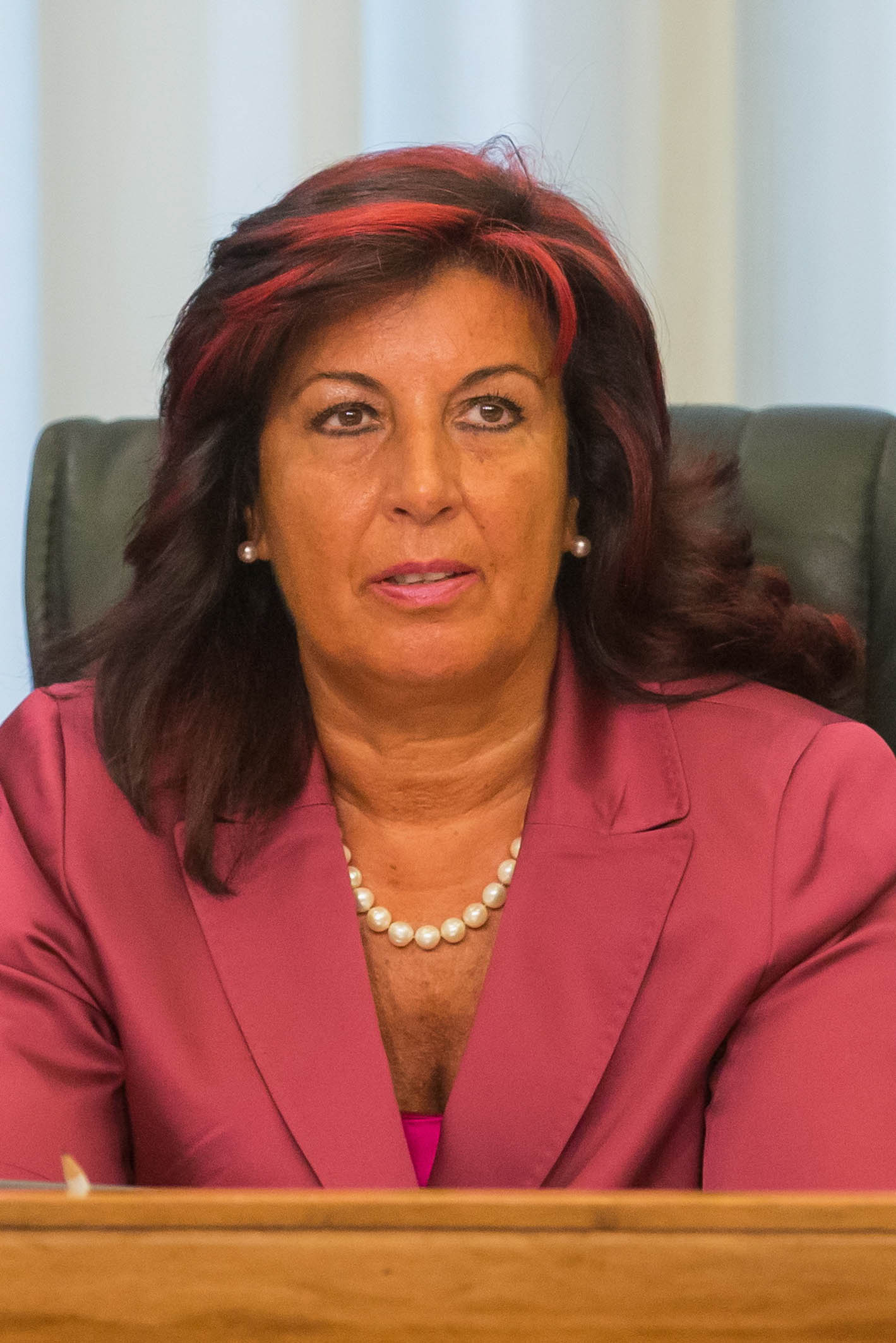 La Consigliera Carmela Fontana (PD)