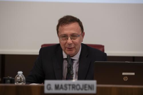 Grammenos Mastrojeni, Presidente del Comitato direttivo della Mountain Partnership presso la FAO