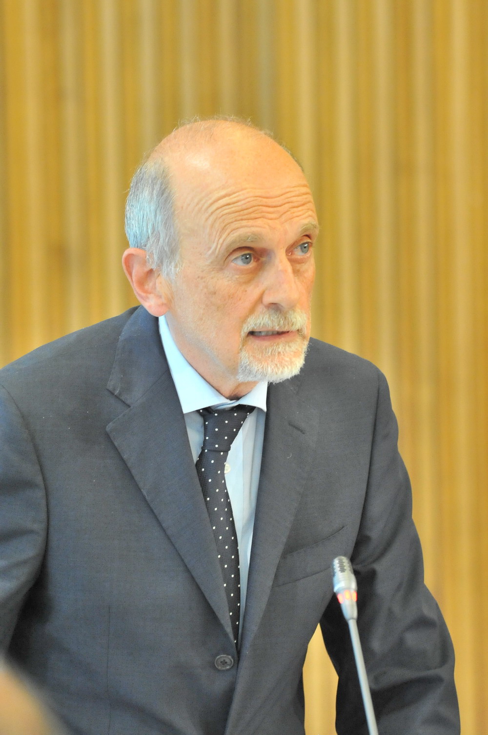 Il Consigliere Nello Fabbri (UVP)