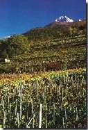 IL CONSIGLIERE  LAURENT VIERIN NOMINATO RELATORE DEL D. L. RELATIVO ALLA PROFESSIONE DI MAESTRO DI SCI E DELLE SCUOLE DI SCI IN VALLE D'AOSTA