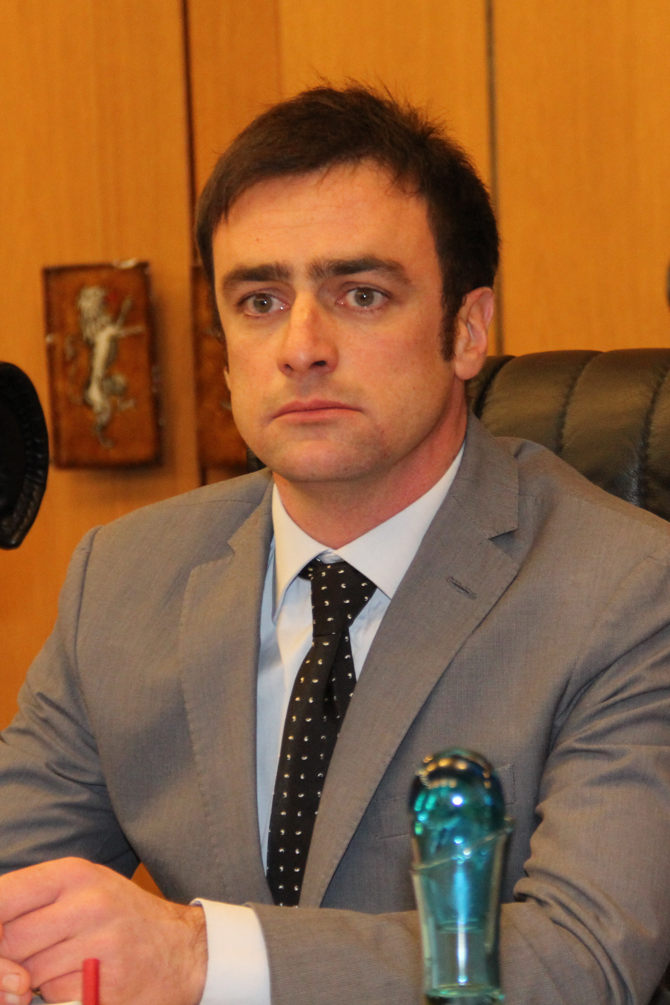 Davide Perrin