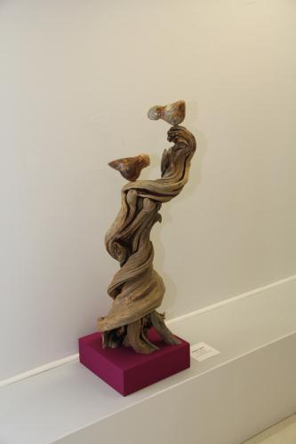"Petit oiseau" di Donato Savin