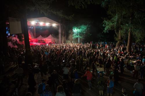 Il suggestivo Bosco del Peteurey durante uno dei concerti