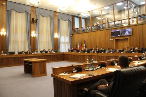 I partecipanti nell'aula del Consiglio