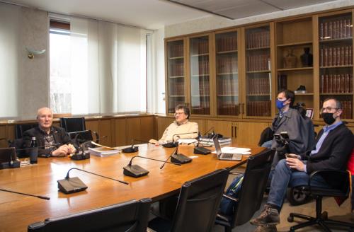 I rappresentanti riuniti in videoconferenza in sessione plenaria