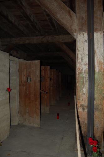 Le celle della Risiera di San Sabba
