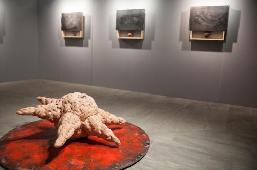 La mostra