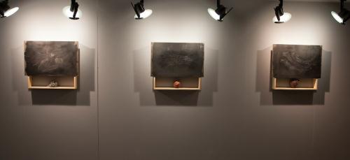 La mostra