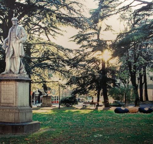 La mostra