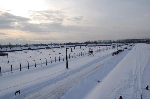 Il campo sotto la neve di gennaio