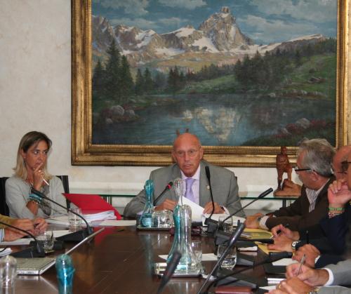 L'audizione del Presidente Alberto Cerise