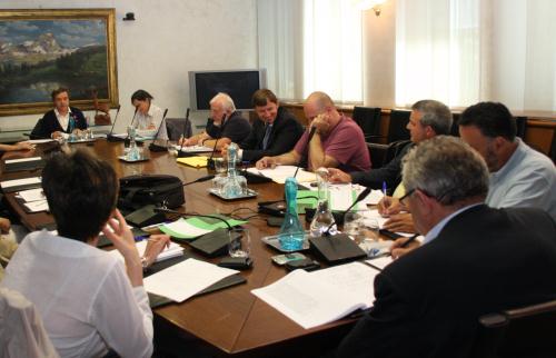 L'audizione dei rappresentanti degli ordini professionali
