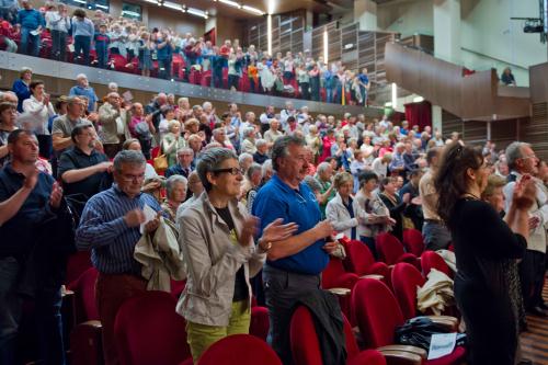 Il pubblico