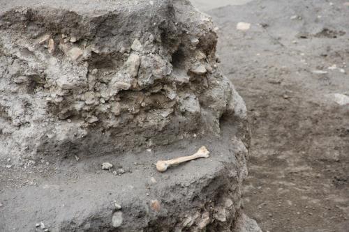 I reperti archeologici
