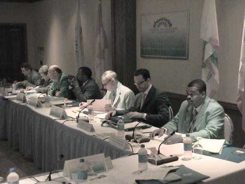 I lavori dell'assemblea