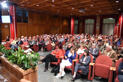 Il pubblico