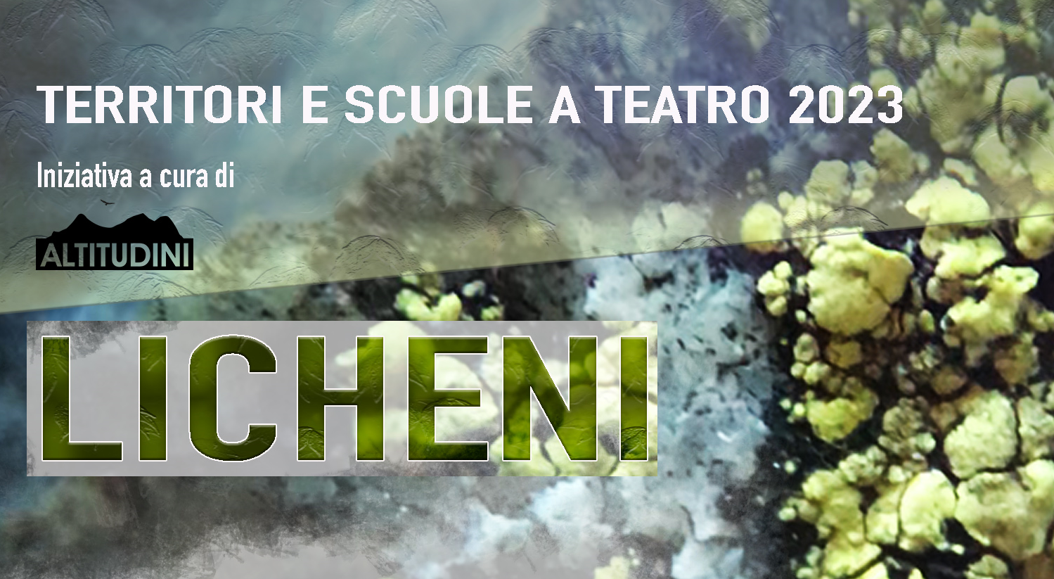 Licheni