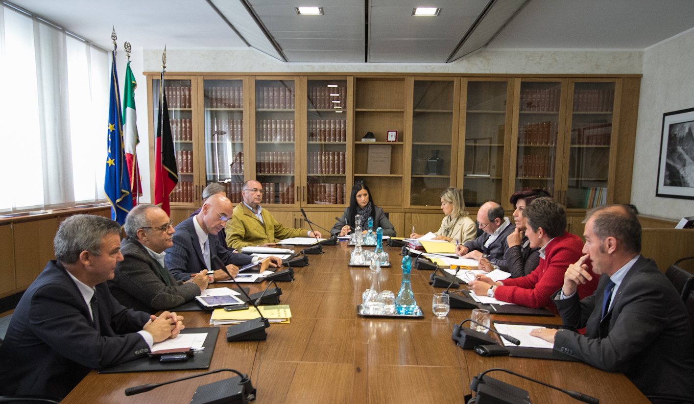 Conferenza dei Capigruppo