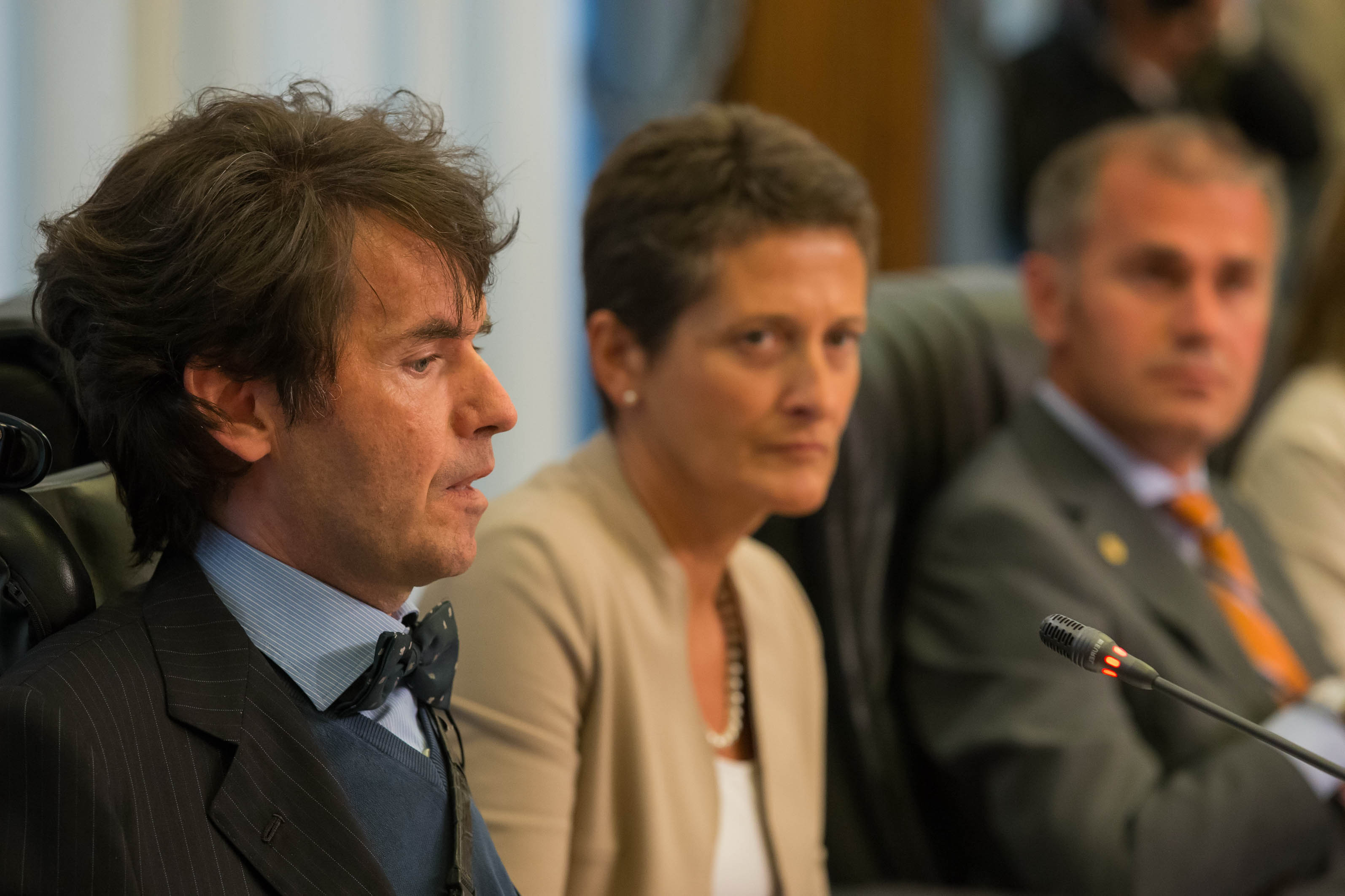 Il Consigliere Alberto Bertin (Alpe)