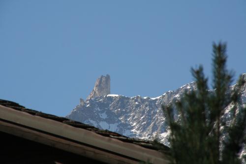 Vue sur le Dent du Géant du Jardin de l'Ange de Courmayeur