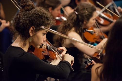 Les violons