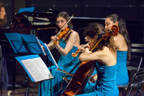 Les musicistes