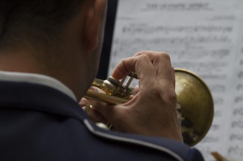 Les musiciens