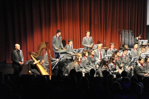 Les musiciens
