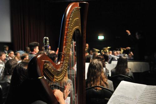 Les musiciens