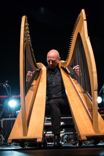 La double élégance de la harpe