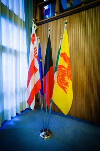 Les drapeaux des pays du Comité mixte