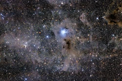1er prix au concours de astrophotographie digitale: la nébuleuse NGC 7023, Nébuleuse Iris, photographée par Paolo Demaria